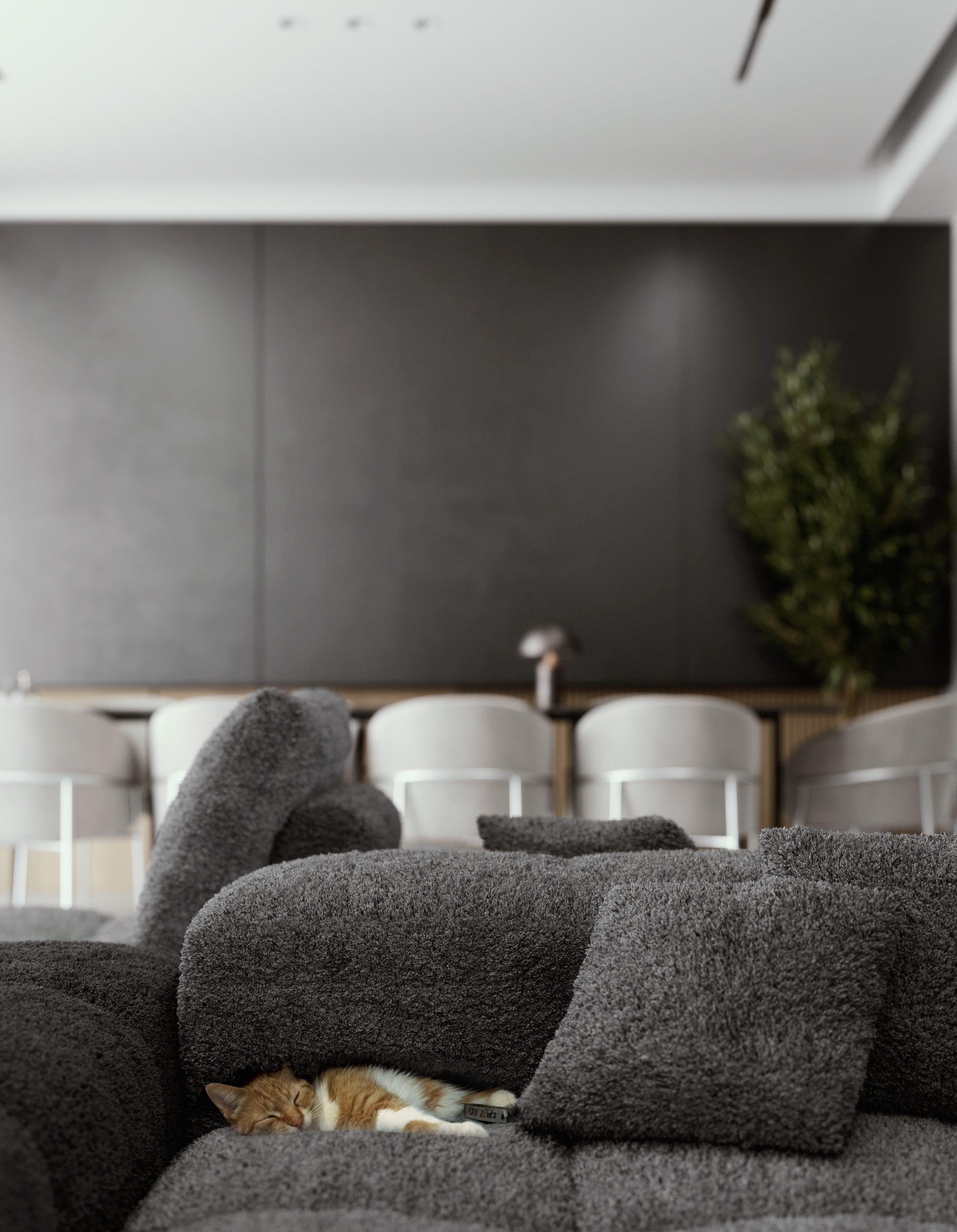 Residential Complex | Meygoon